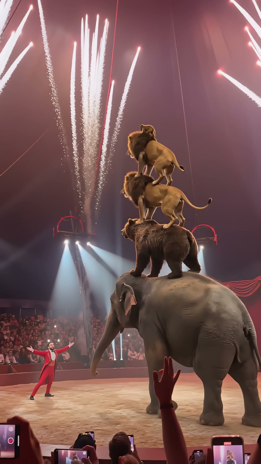 The animal tower, ringmaster below